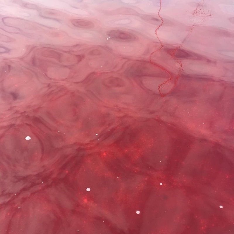 Розовая кровь на прозрачном фоне которая ложится на перса в Гасе