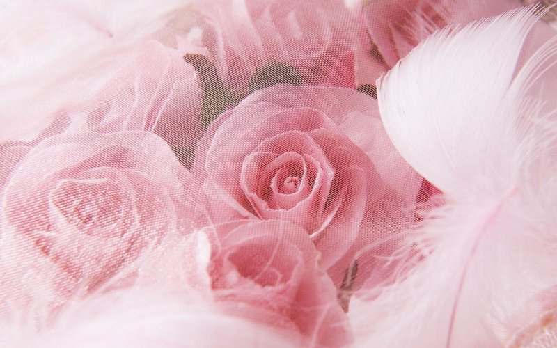 Розовая свадьба фон