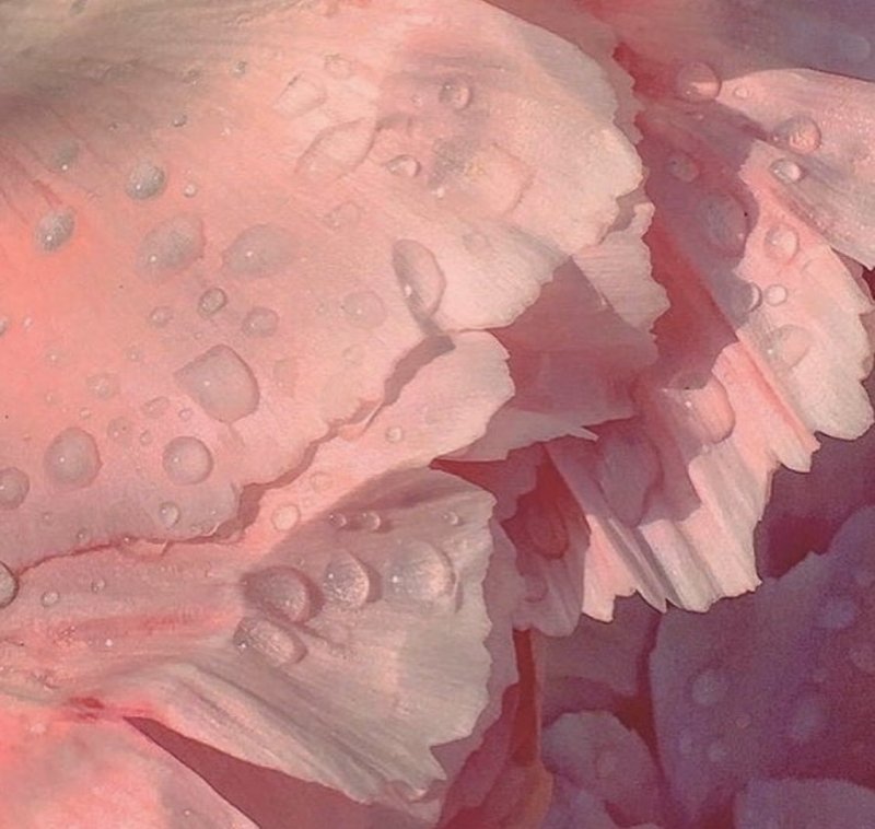 Розовый фон для эдита (20 фото)