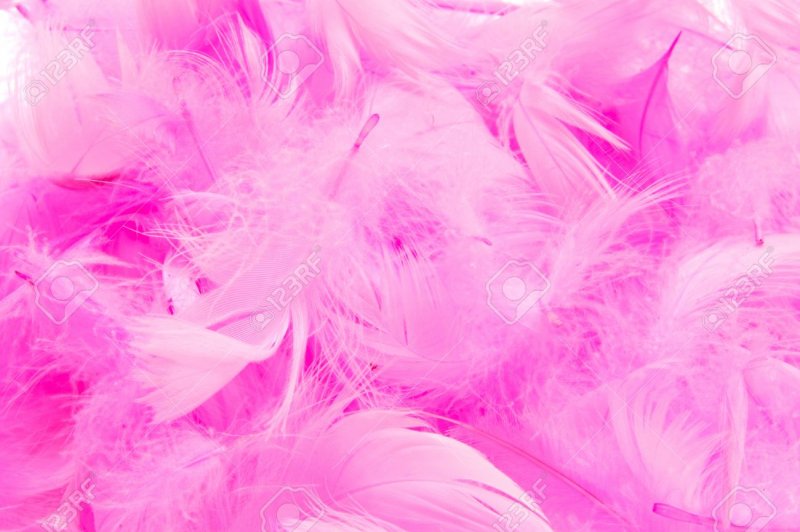 Красивый розовый фон перья