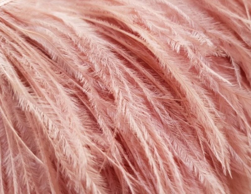 Перо страуса розовое