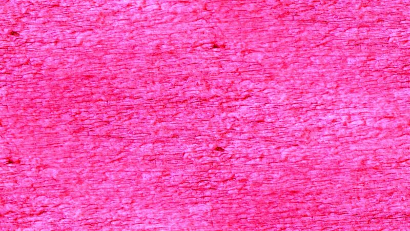 Розовый зернистый фон