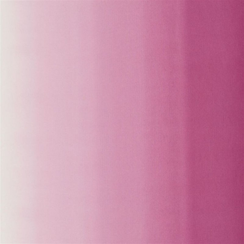 Фон простой розовый (47 фото)