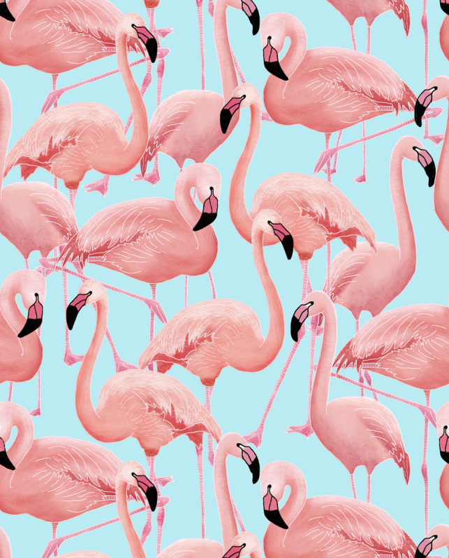 Фламинго на розовом фоне