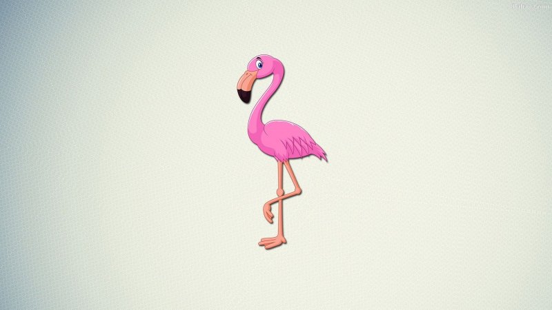 Flamingo Albert
