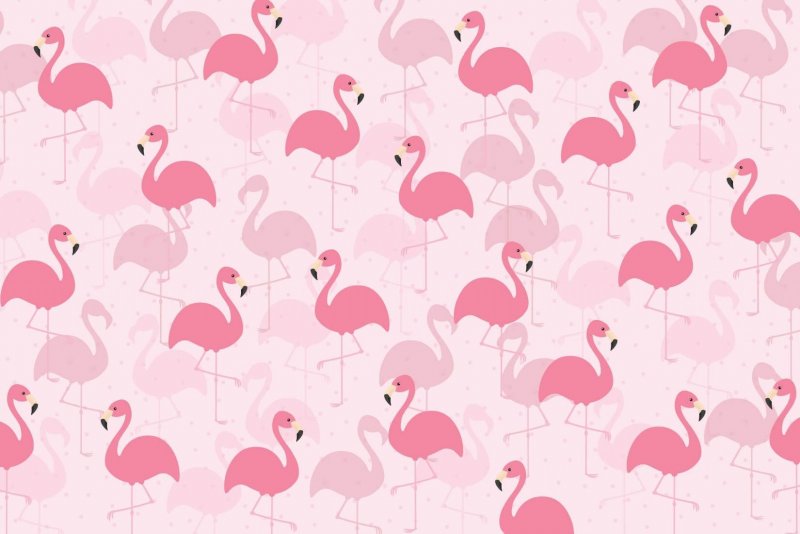Фон розовый фламинго (49 фото)