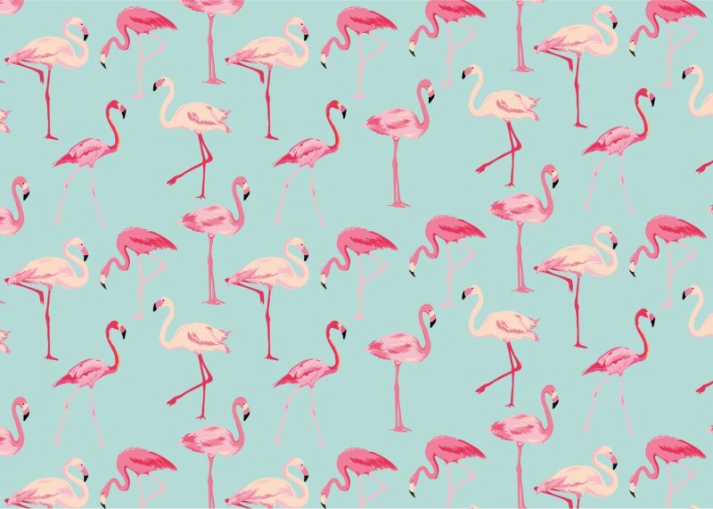 Красивая бумага с Фламинго