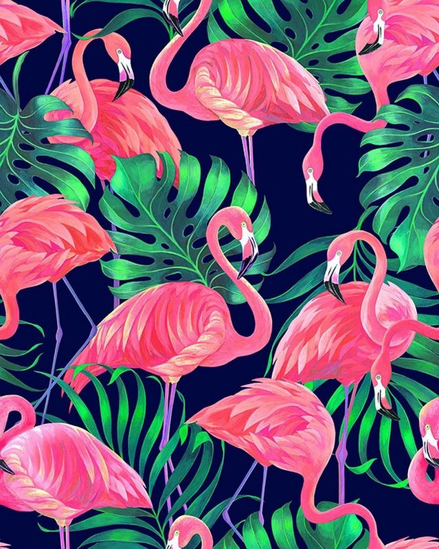 Принты с Фламинго