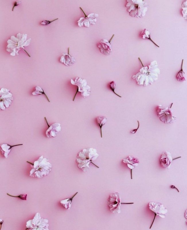Маленькие цветочки на розовом фоне