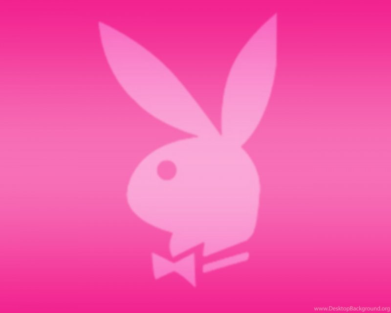 Заяц на розовом фоне