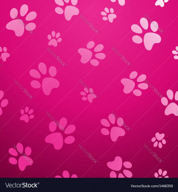 Фон розовый косточки лапки