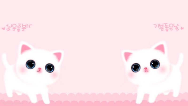 Милый кот на розовом фоне