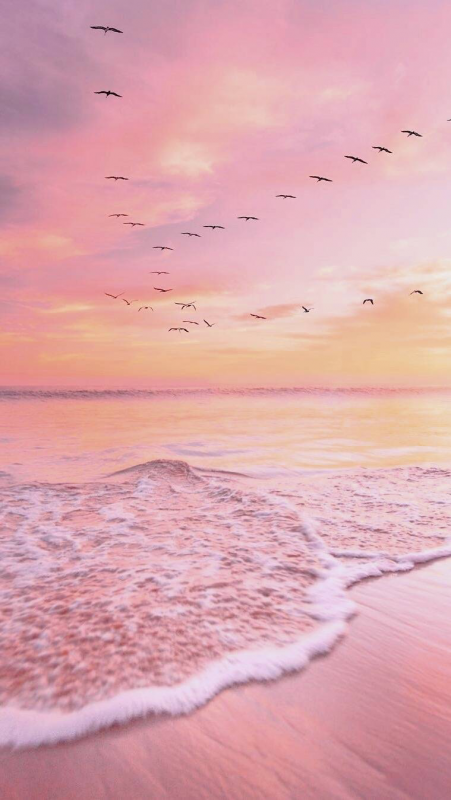 Красивое море розовое