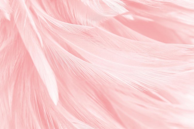 Фон розовый мужской (45 фото)