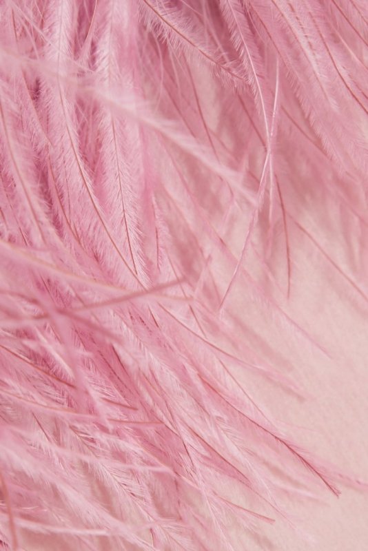 Розовые перья фон
