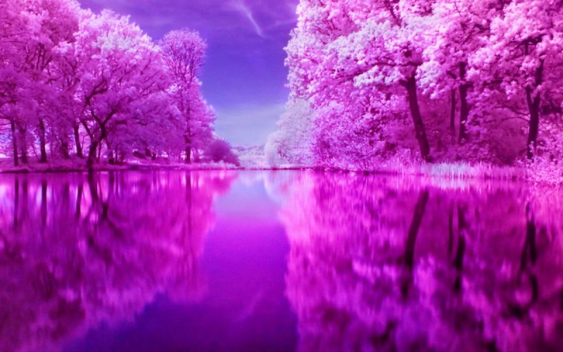 Пейзажи в фиолетовом цвете