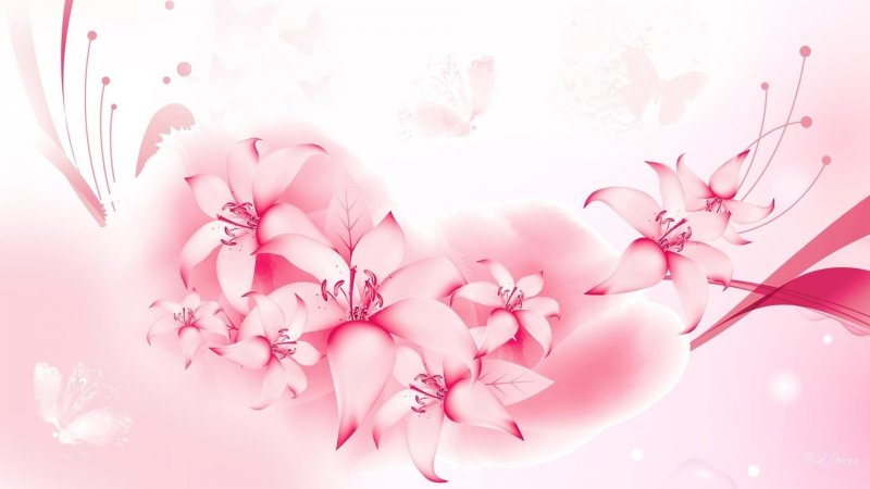 Красивые цветы на розовом фоне
