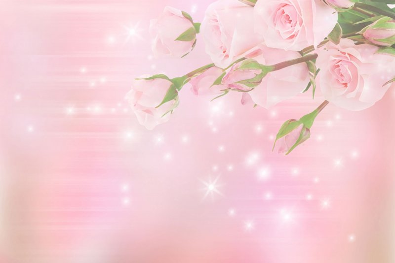 Фон нежно розовые цветы (14 фото)
