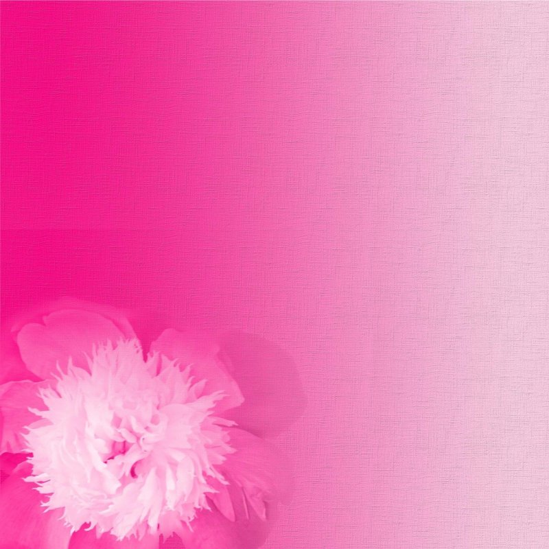 Фон для презентации розовый с цветами