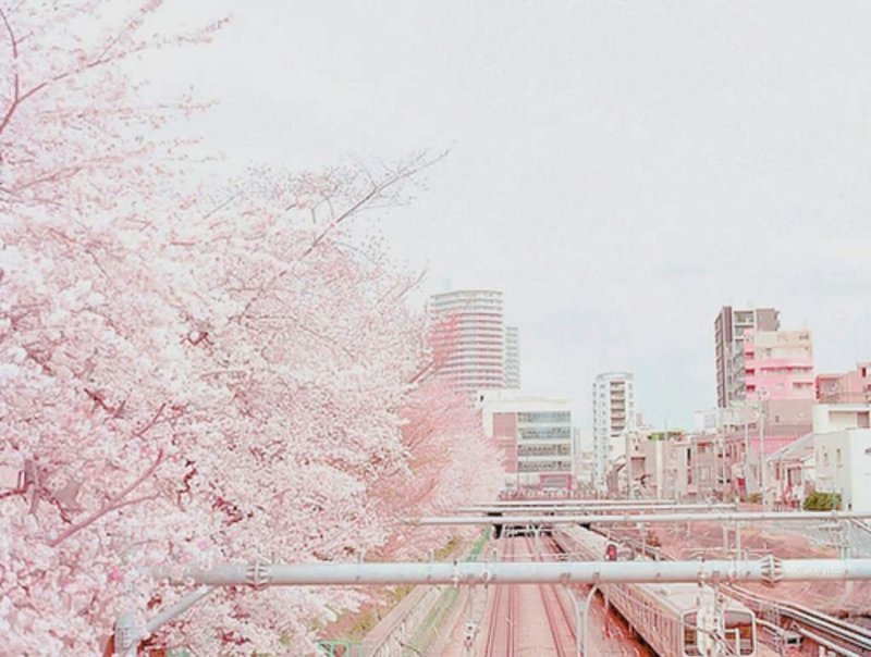 Розовая Эстетика Япония