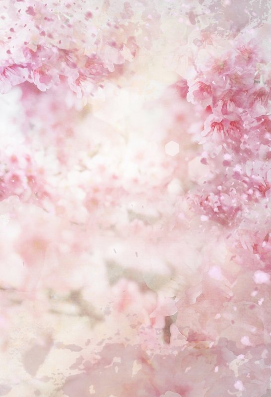 Красивый розовый фон для сторис (47 фото)