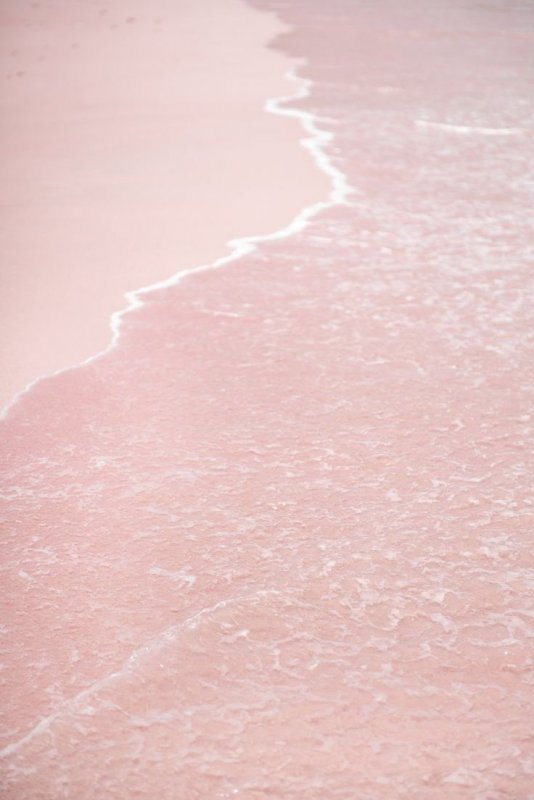 Розовый берег