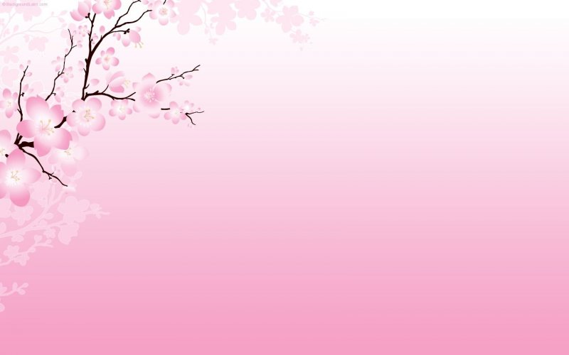 Розовый фон Сакура