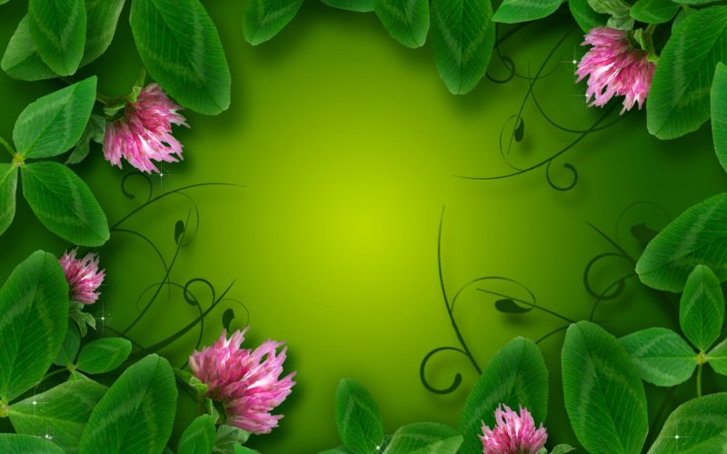 Красивый зеленый фон с цветами