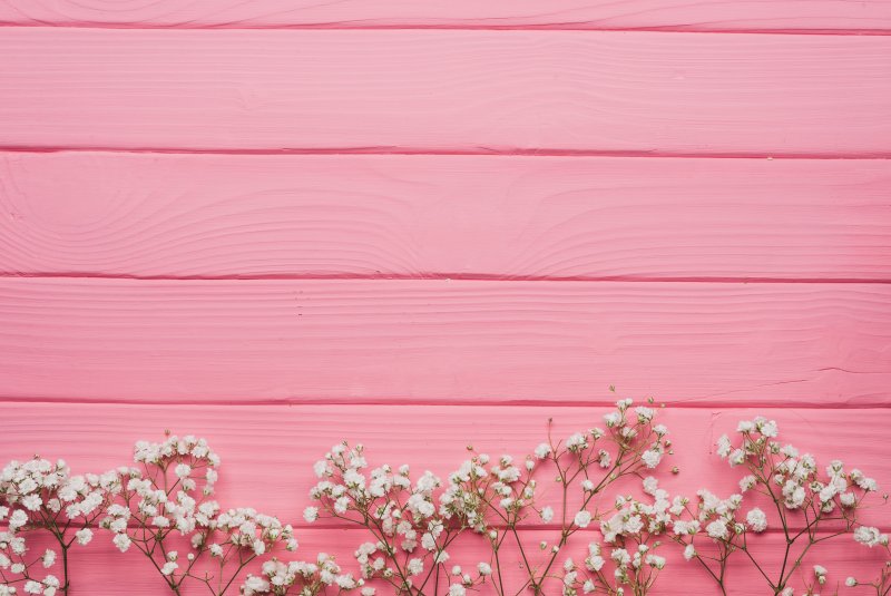 Фон для сторис розовый с цветами (16 фото)