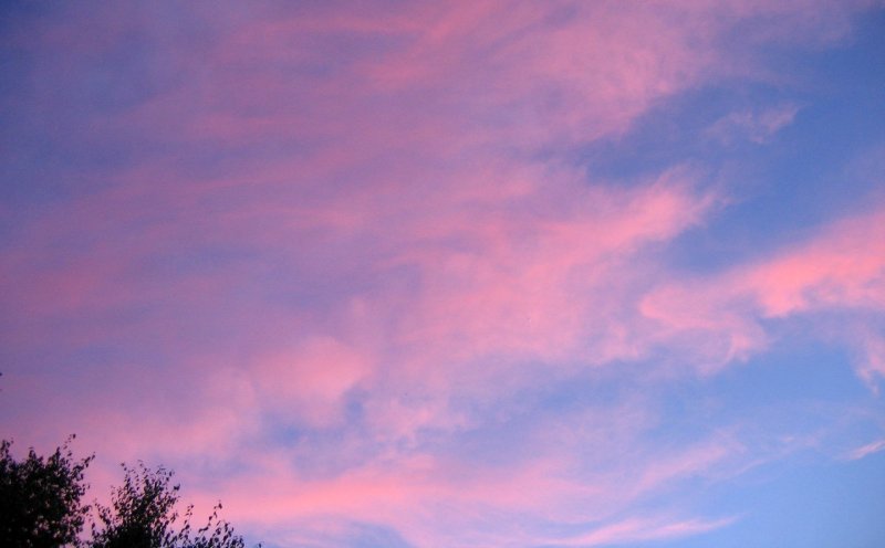 Нежно розовое небо