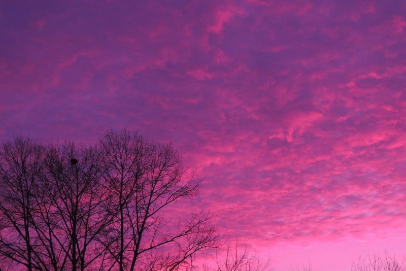 Красивое сиренево-розовое небо