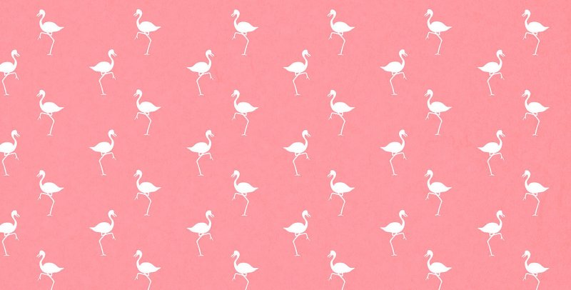Розовый фон с Фламинго нежный
