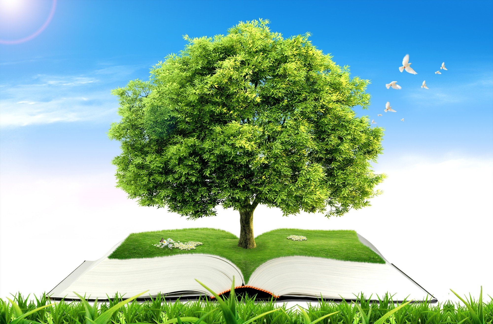 Древо для презентации. Красивое дерево для родословной. Дерево с книжками. Дерево с книгами. Красивое дерево.