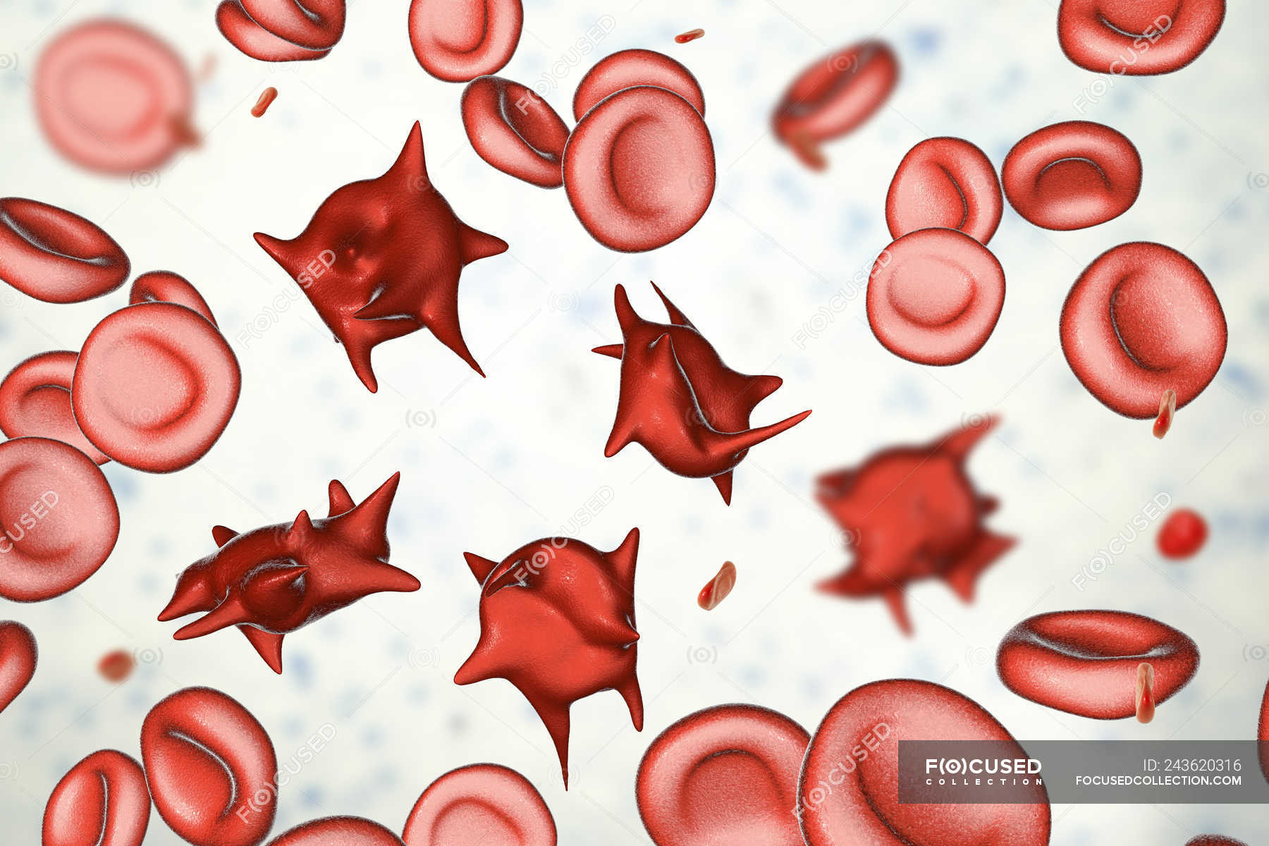 Кровь на б клетки. Клетки крови эритроциты. Эритроциты мультяшные. Эритроциты рисунок. Эритроциты на белом фоне.