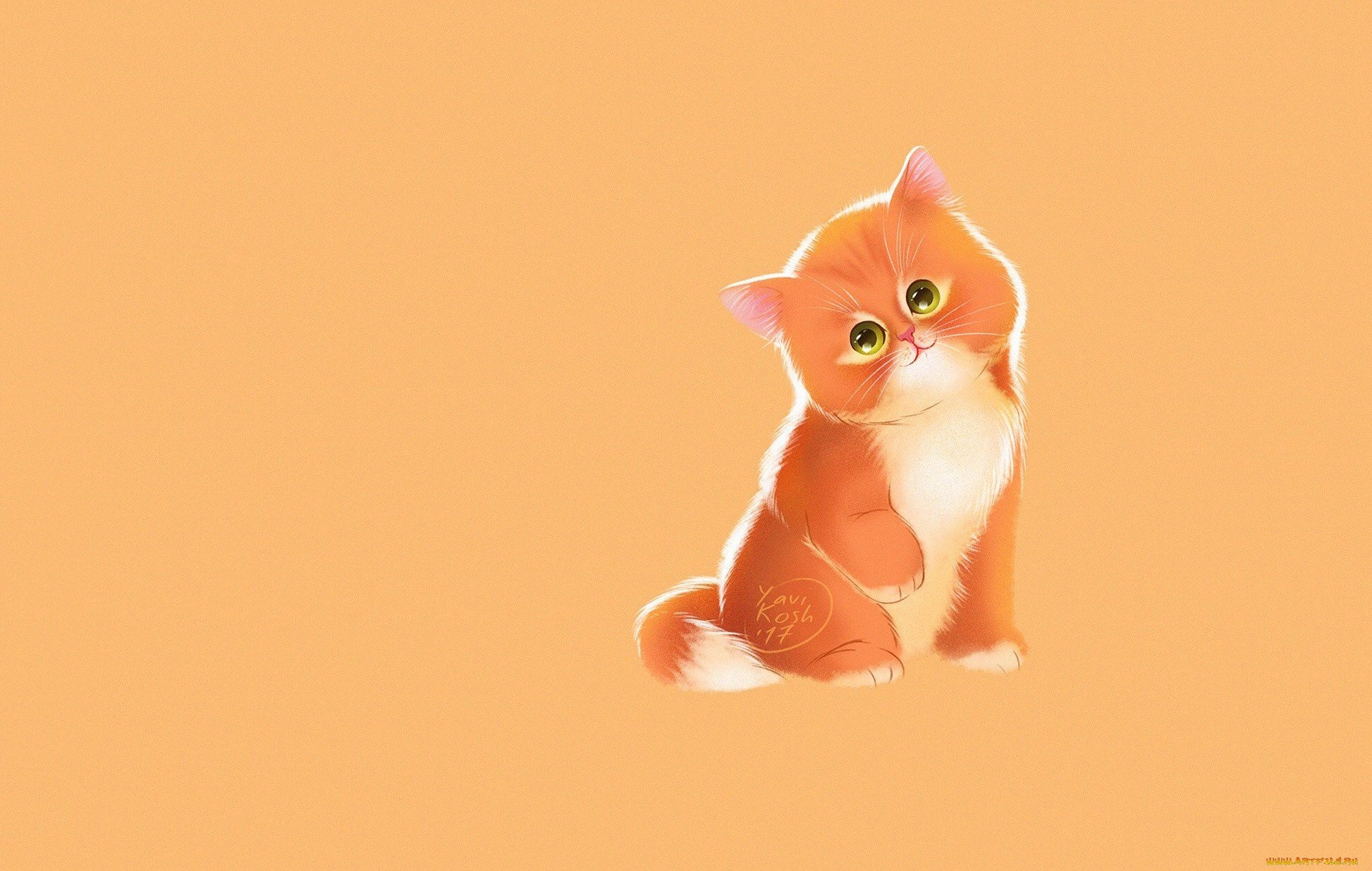 Котенок на оранжевом фоне