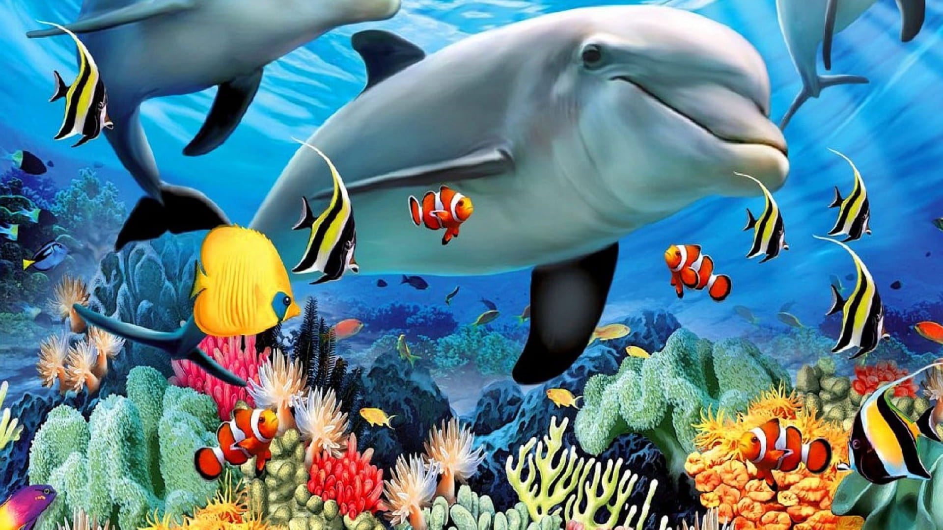 Подводный мир дельфины