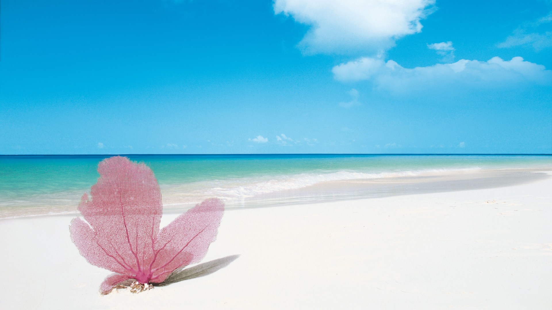 Доминикана розовый песок