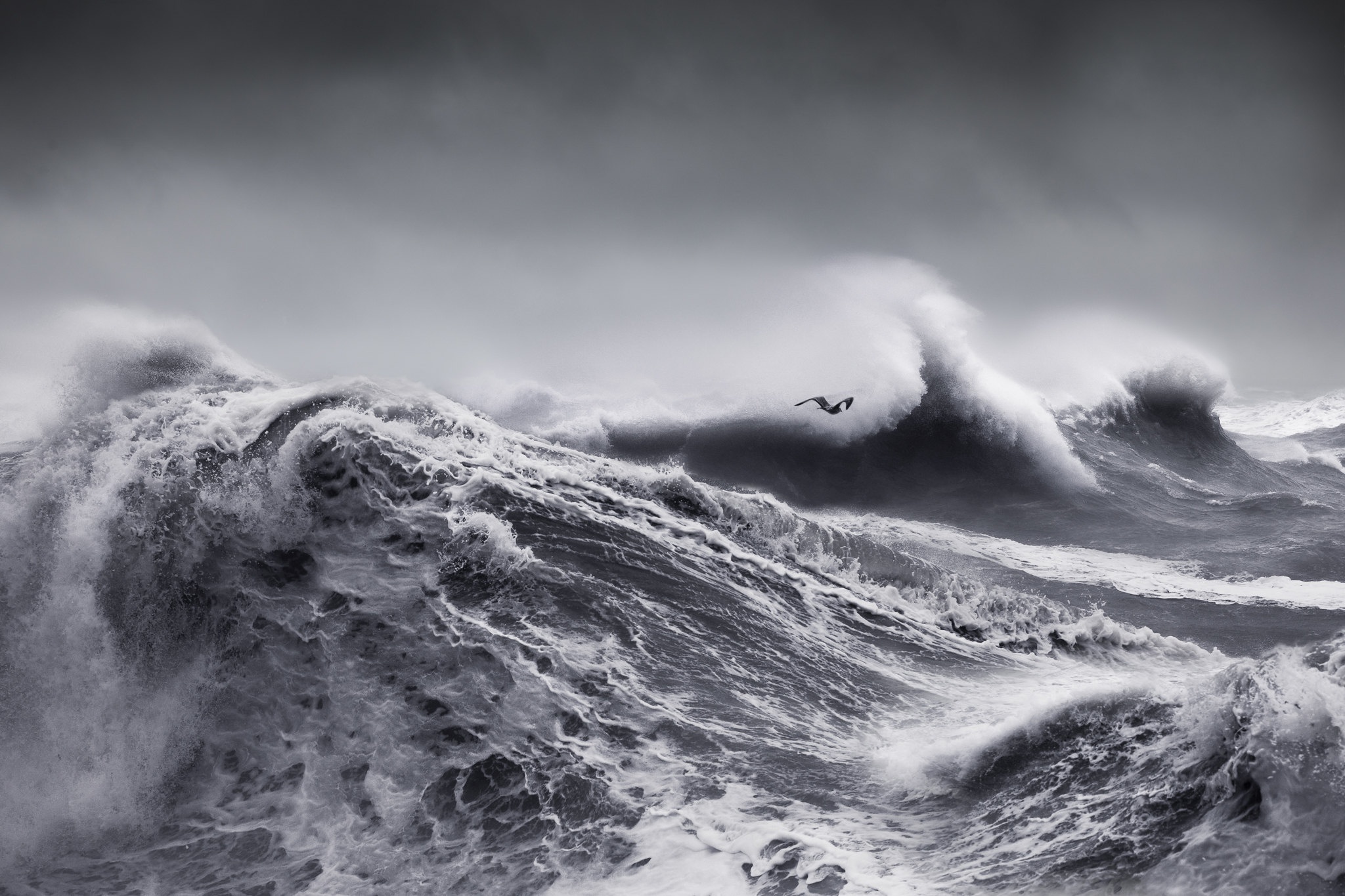 Устрой шторм. Северный Ледовитый океан шторм. Океан буря шторм. Море океан волны шторм ЦУНАМИ. Море, волны.