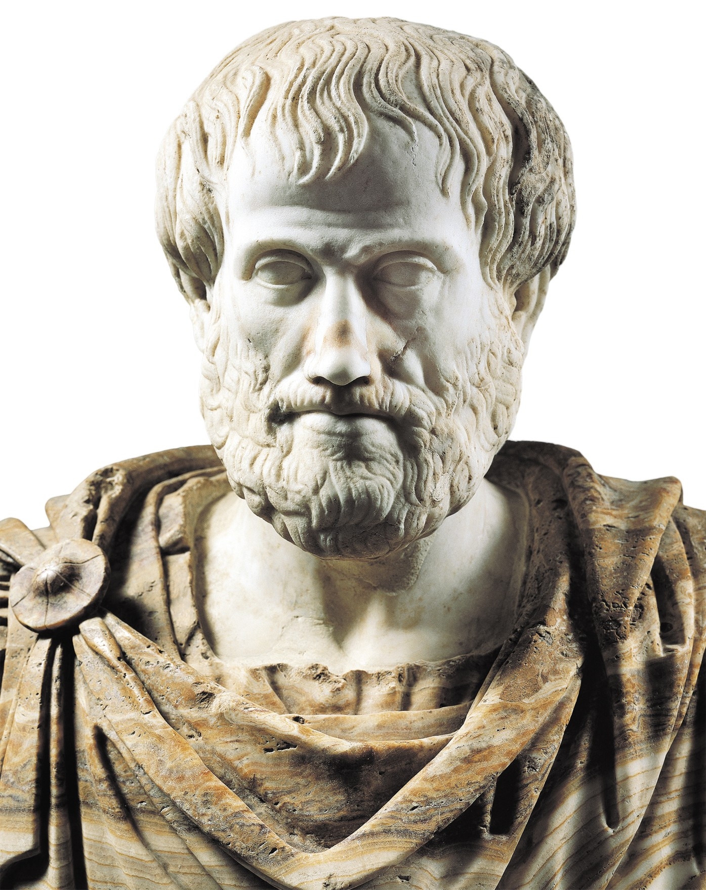 Аристотель из Стагиры Аристотель