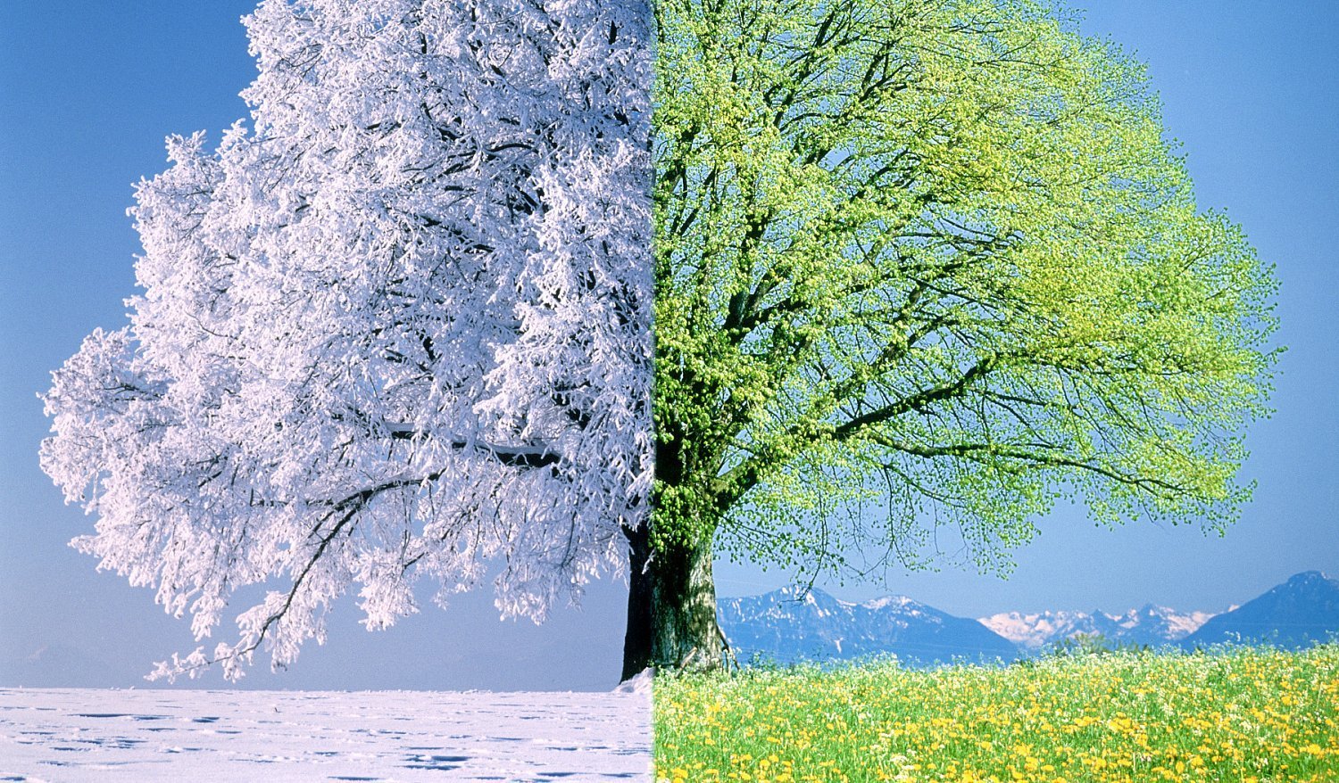 картинки времена года зима весна