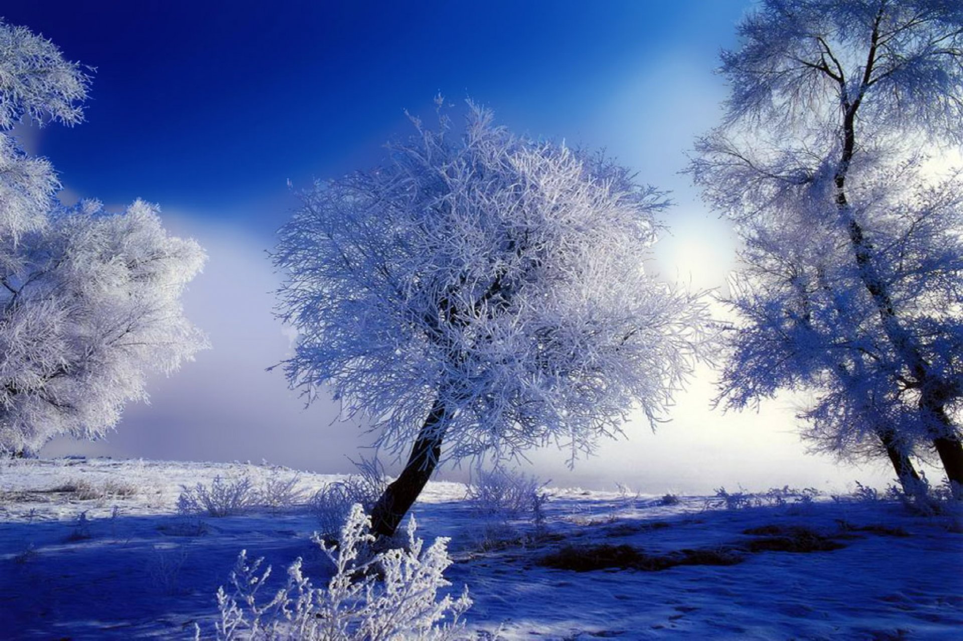 Голубая зима