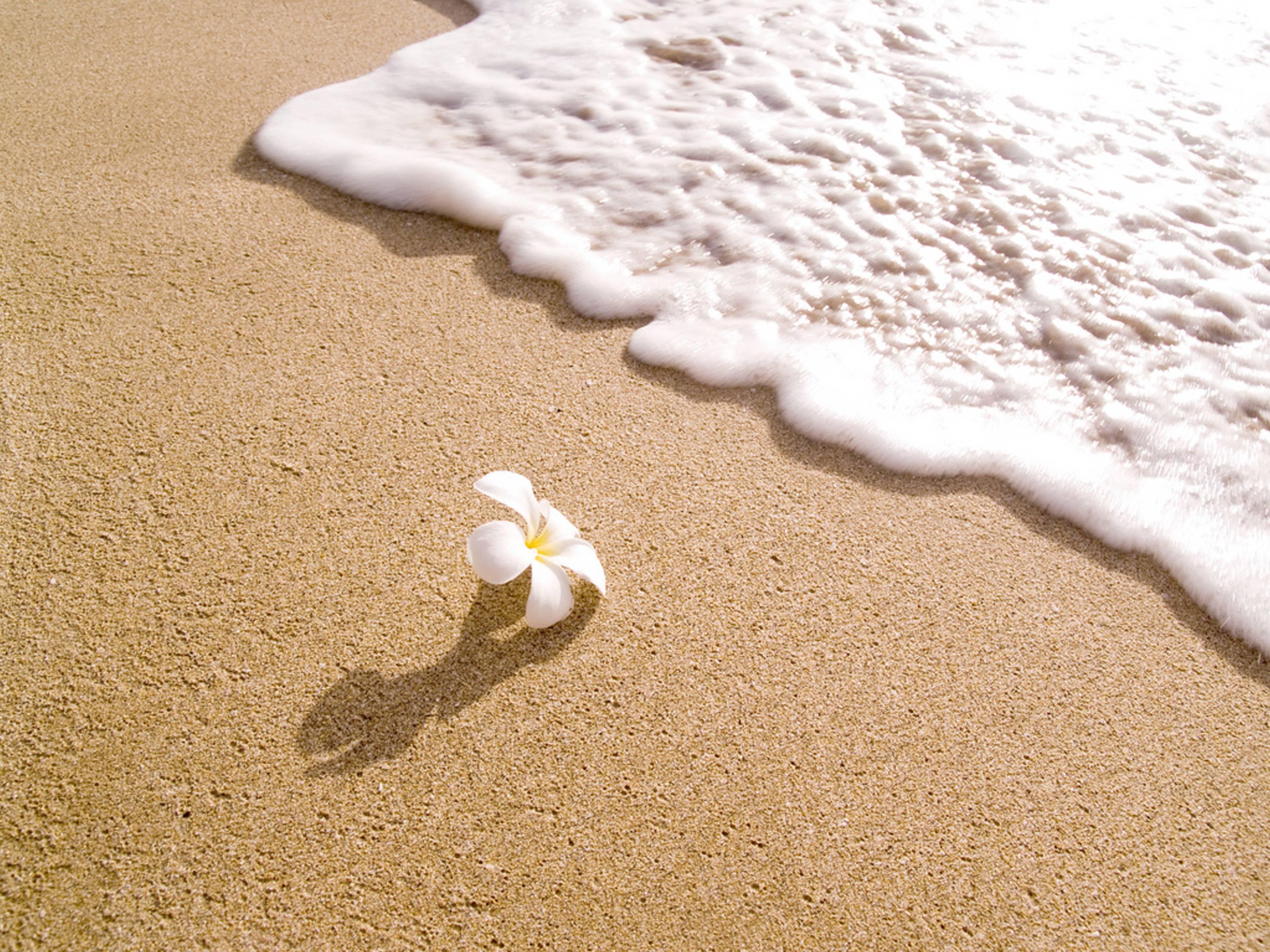 песок в море