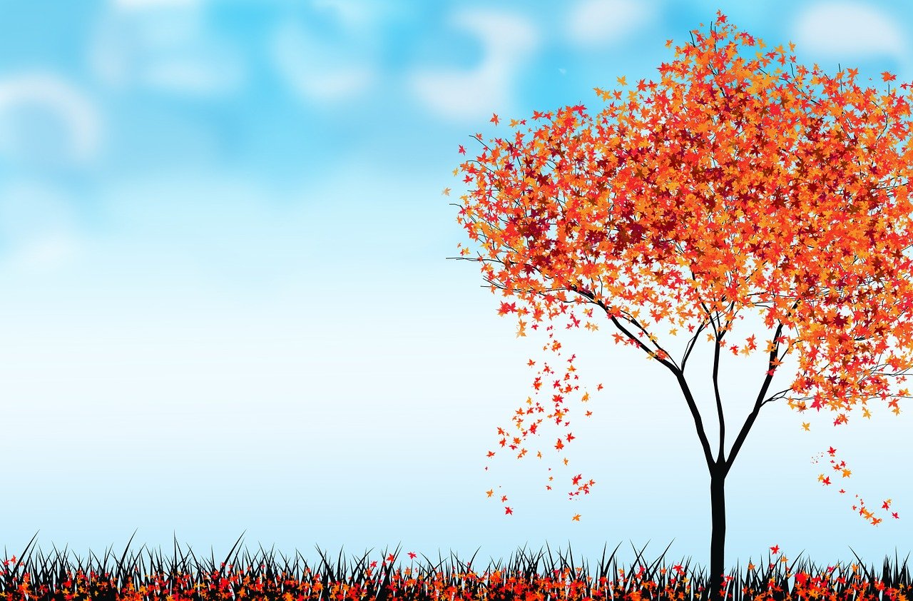 Осеннее дерево на голубом фоне