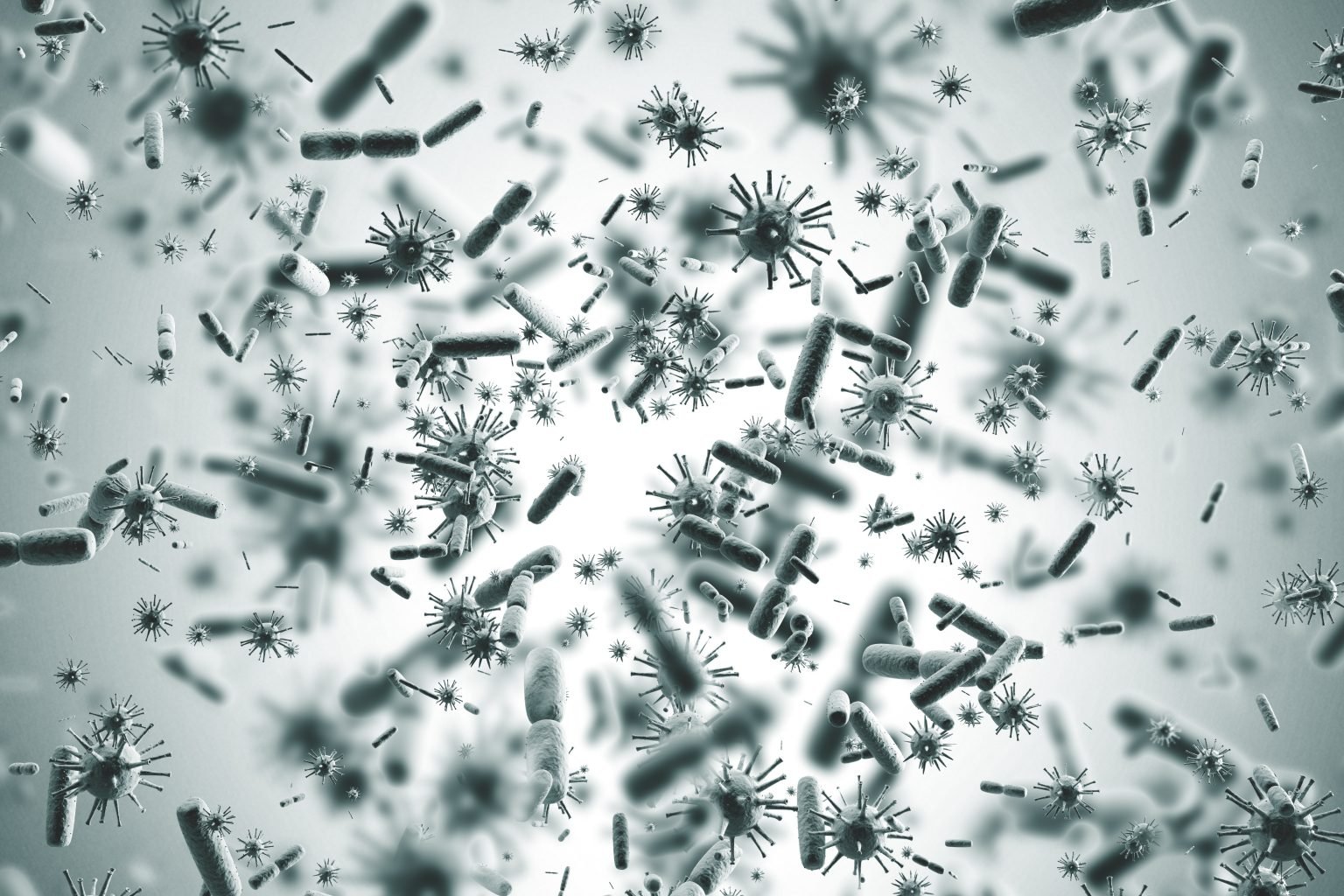 Микробы бактерии вирусы под микроскопом