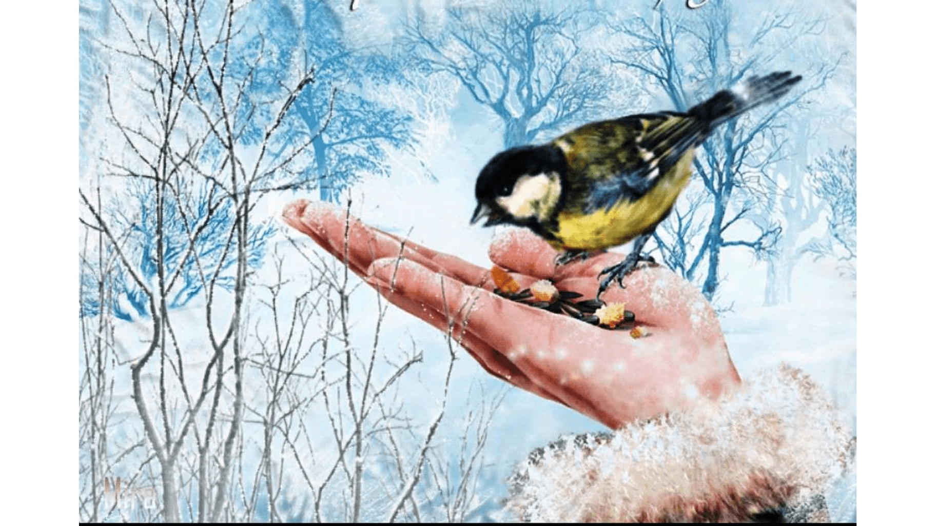 Рисунок на тему кормите птиц