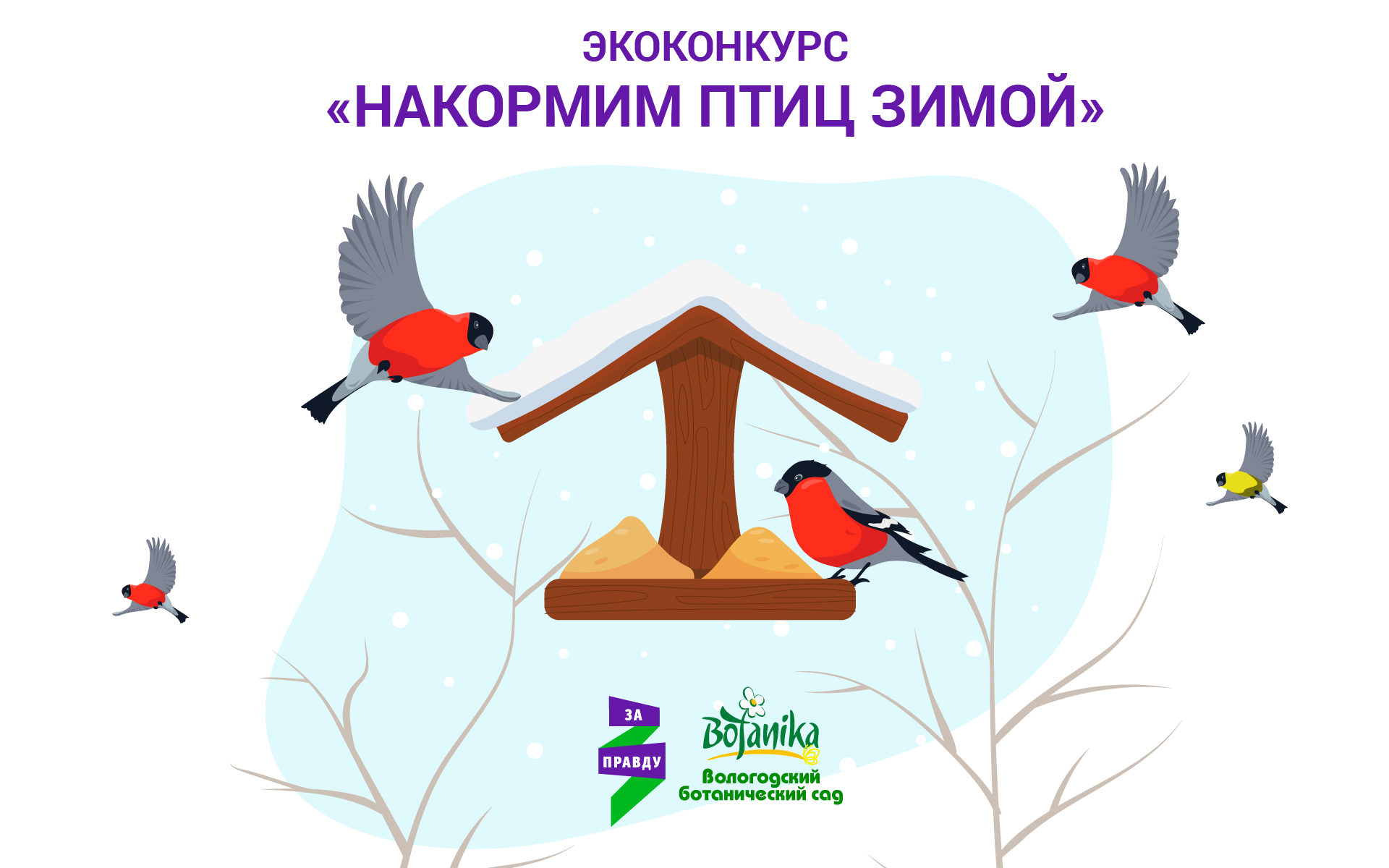 Рамки для экологической акции Накорми птиц зимой