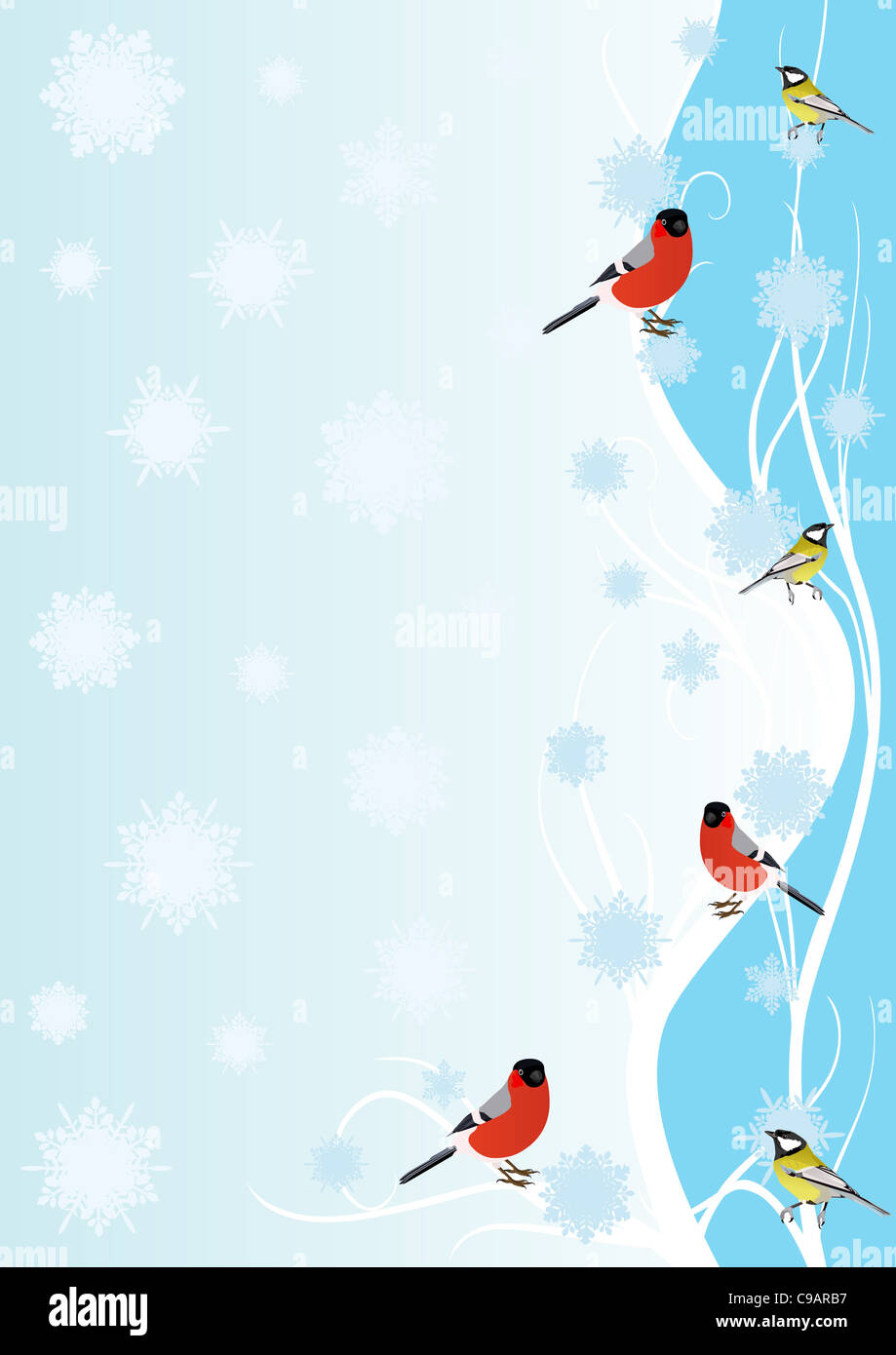 Зимняя рамка вертикальная с птичками