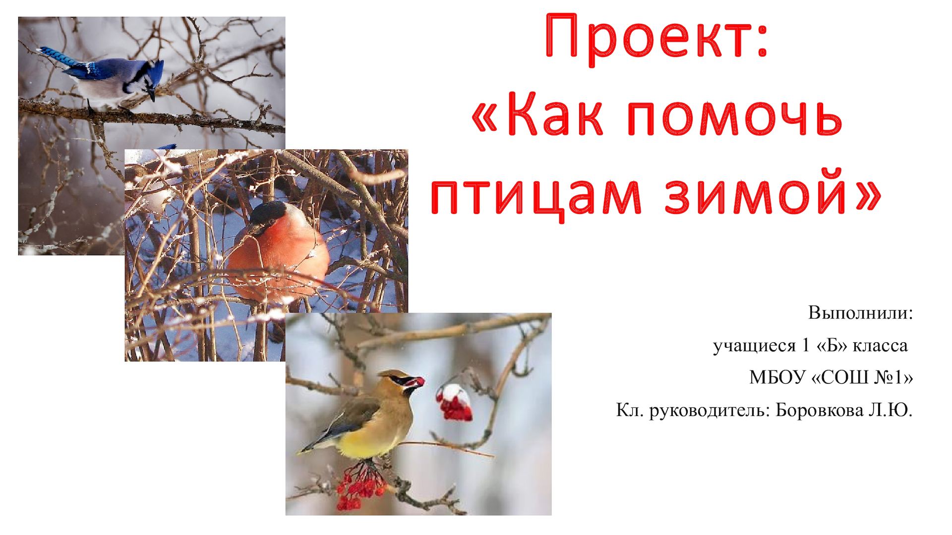 Проект по литературному чтению 2 класс помоги птицам зимой