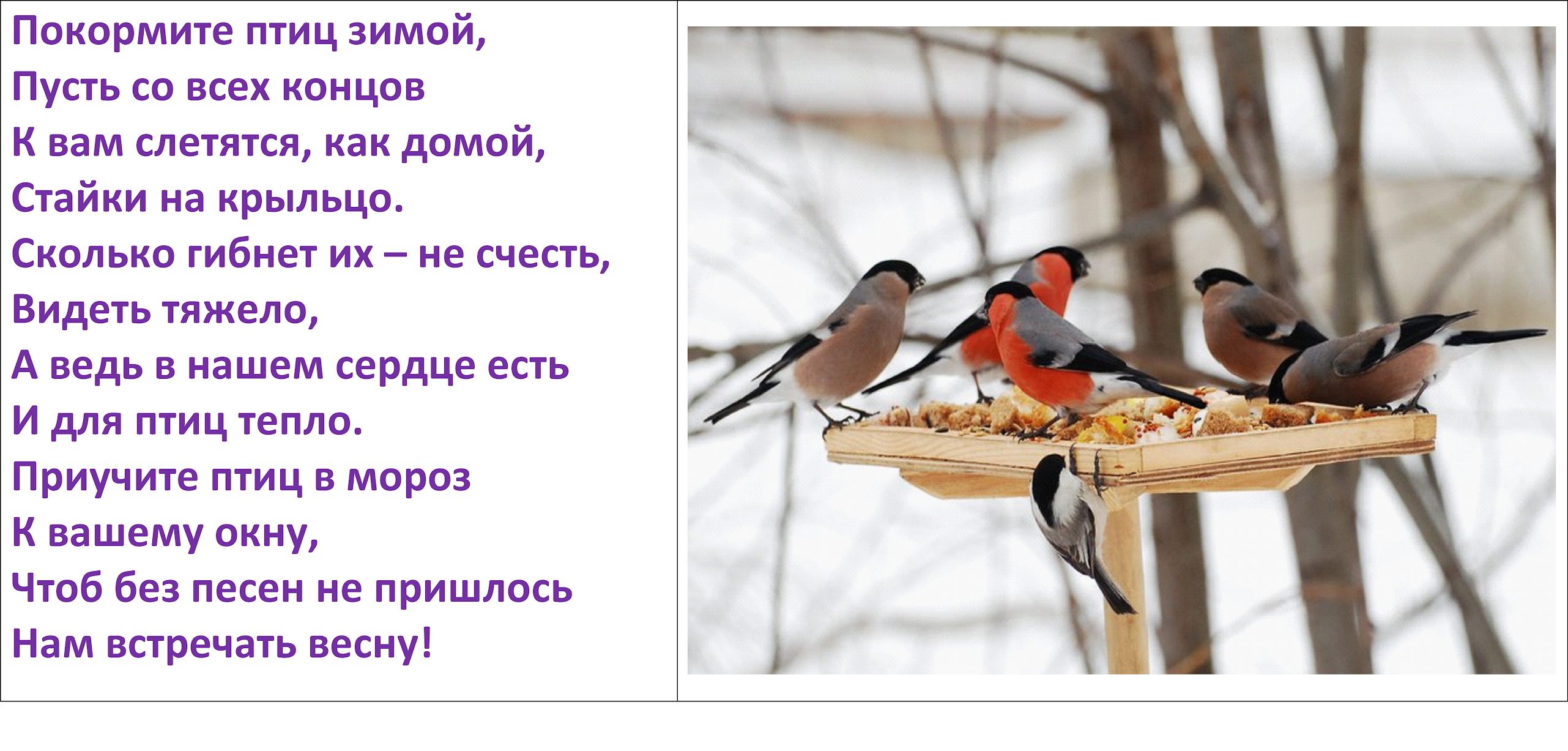 Стихотворение покормите зимой. Покормите птиц зимой. Покормите птиц зимой стихотворение. Стих Покормите птиц зимой. Накорми зимующих птиц.