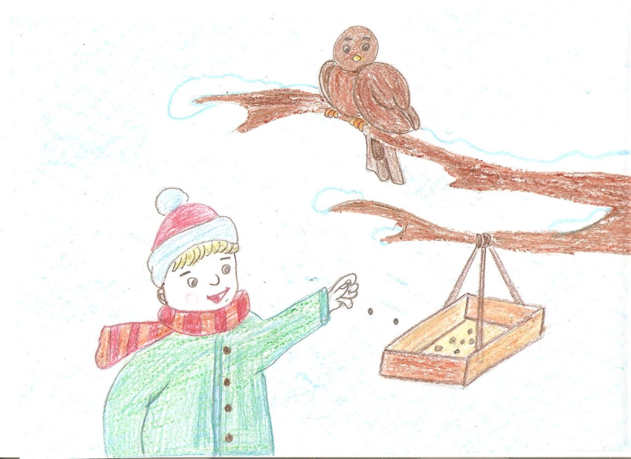 Кормить птиц зимой рисунок
